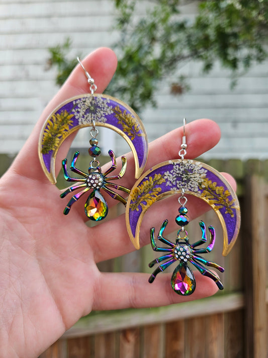 Rainbow Garden Spiders