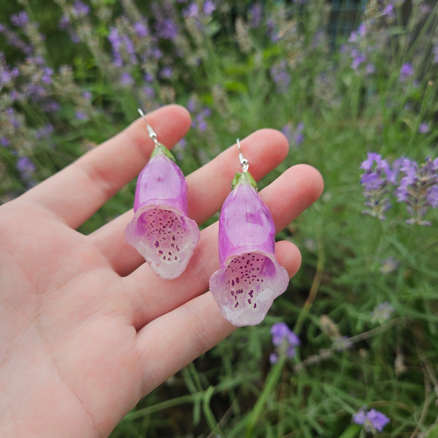 Foxgloves