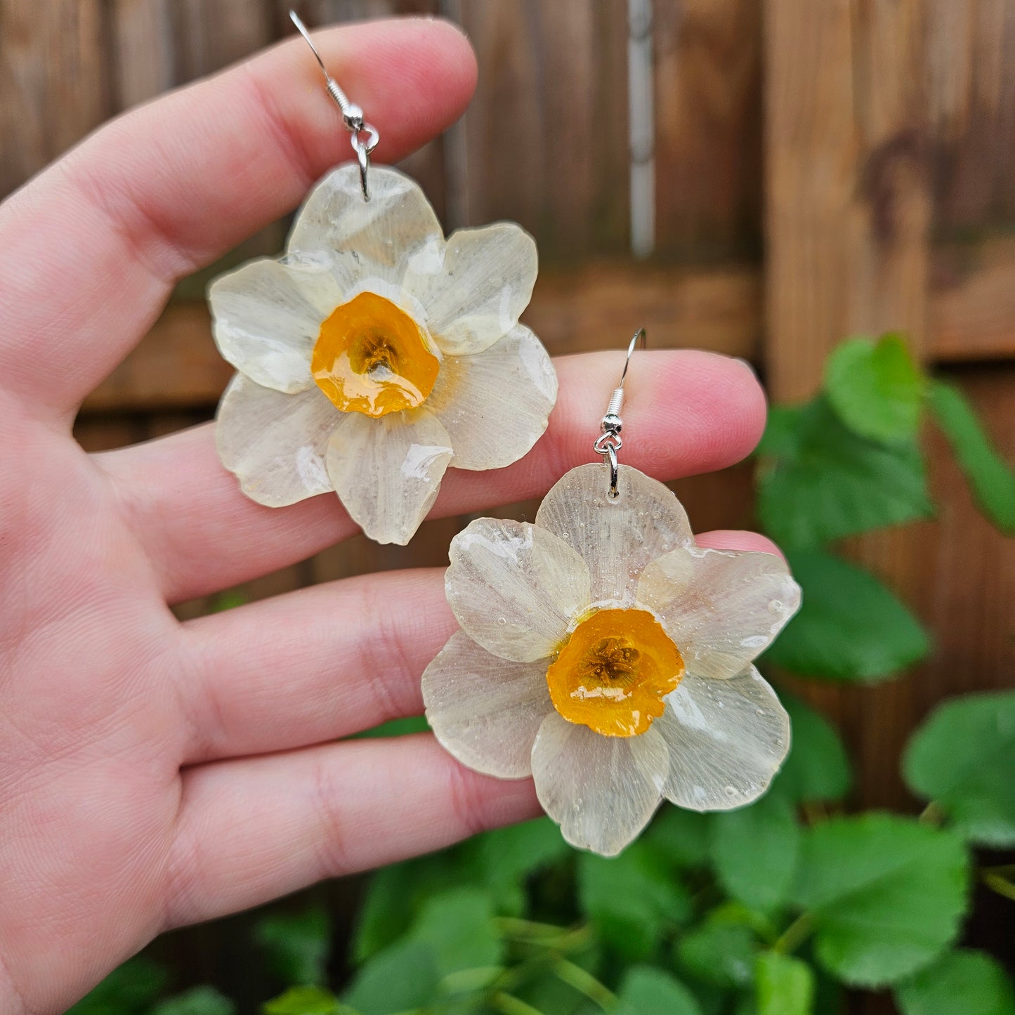 Daffodils