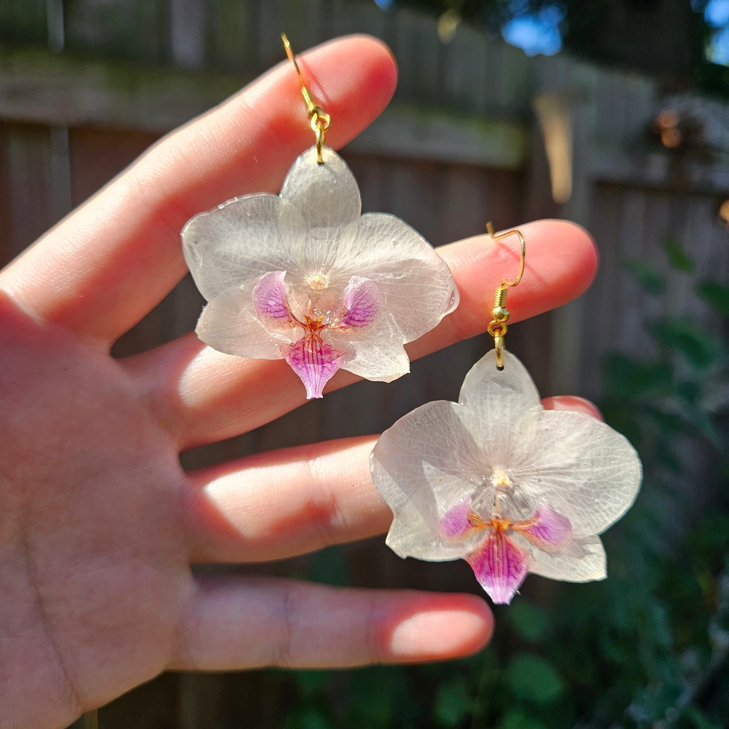 White and Purple Orchids