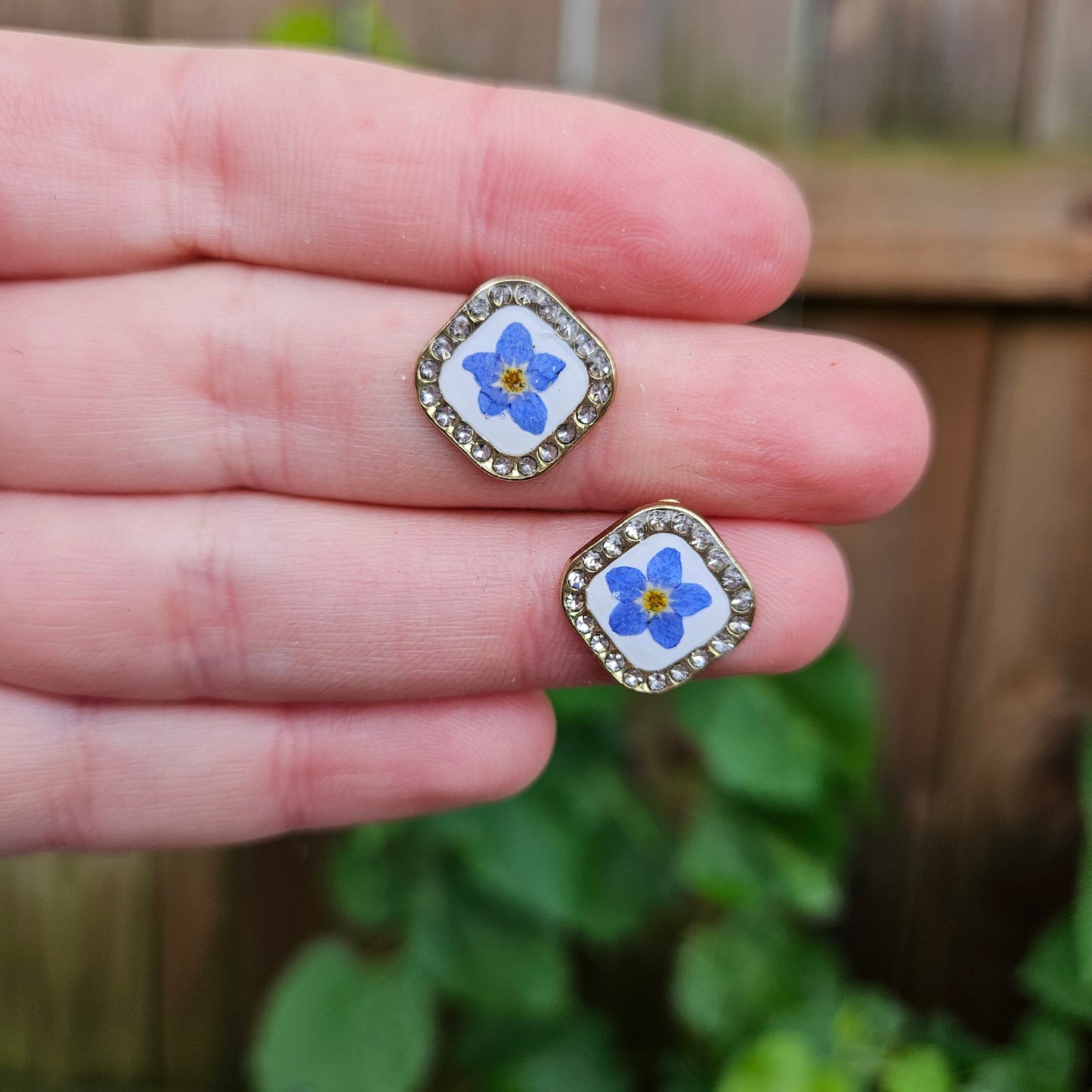 Forget-me-nots