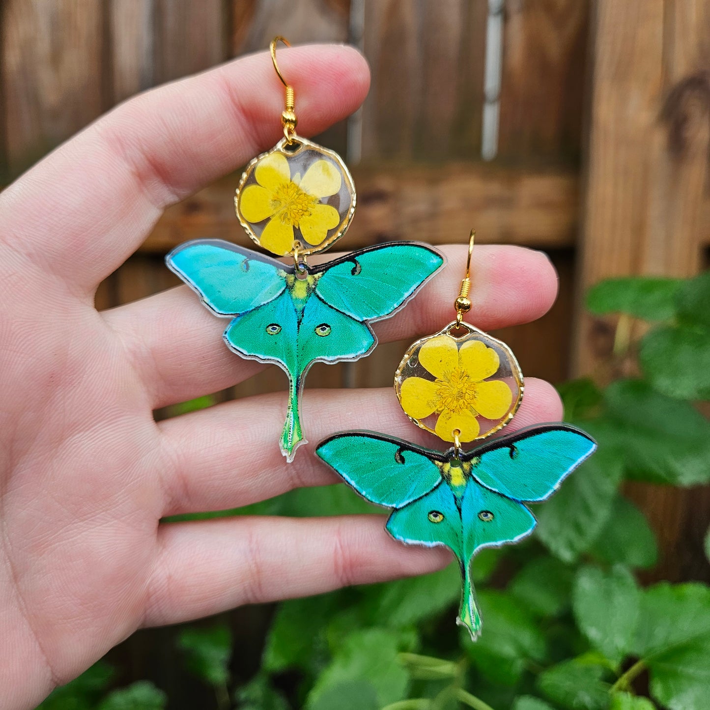 Buttercups