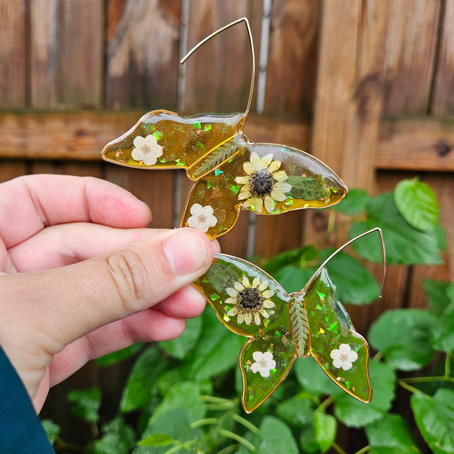 Butterfly Hoops