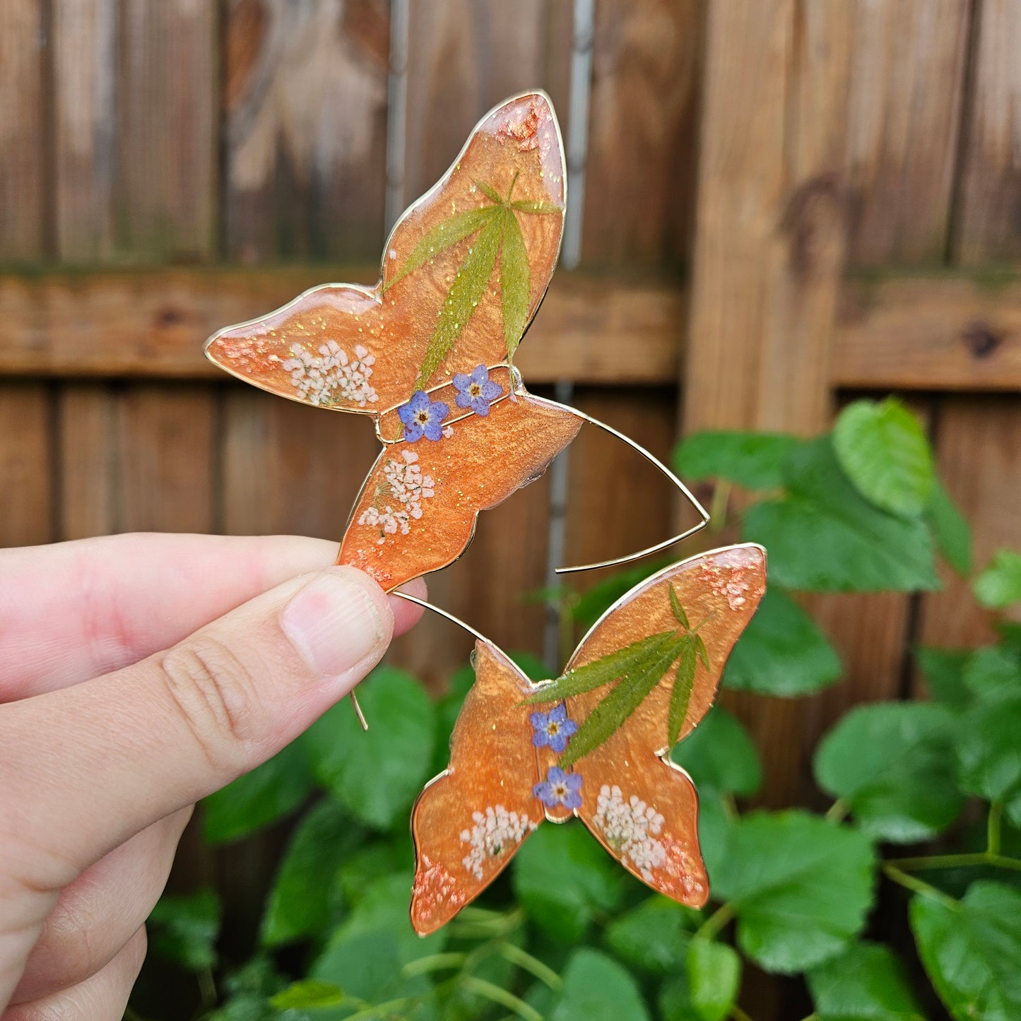 Butterfly Hoops