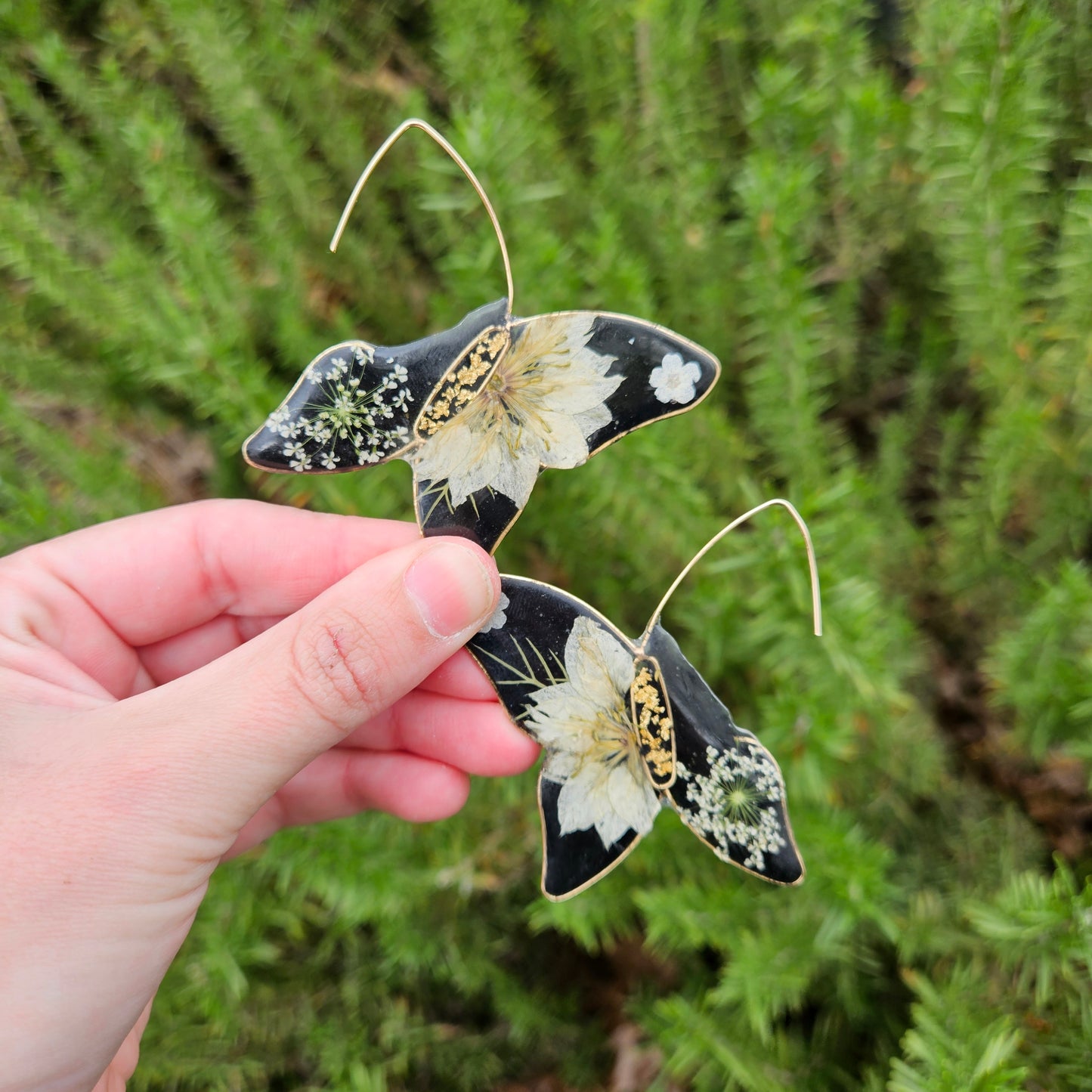 Butterfly Hoops