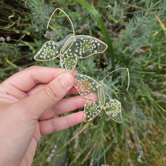 Butterfly Hoops