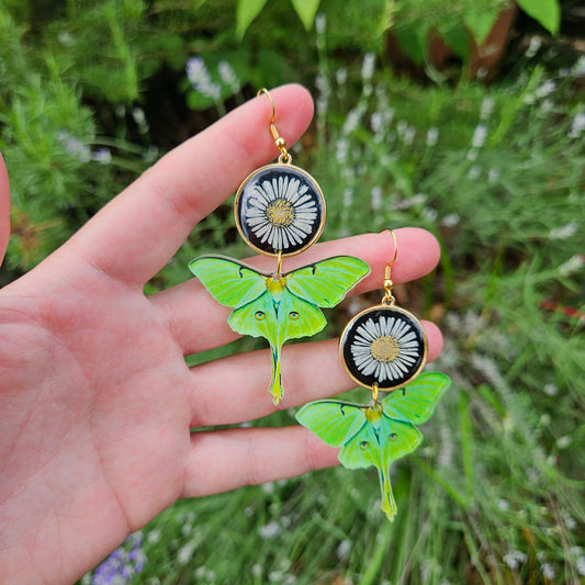 Luna Moths