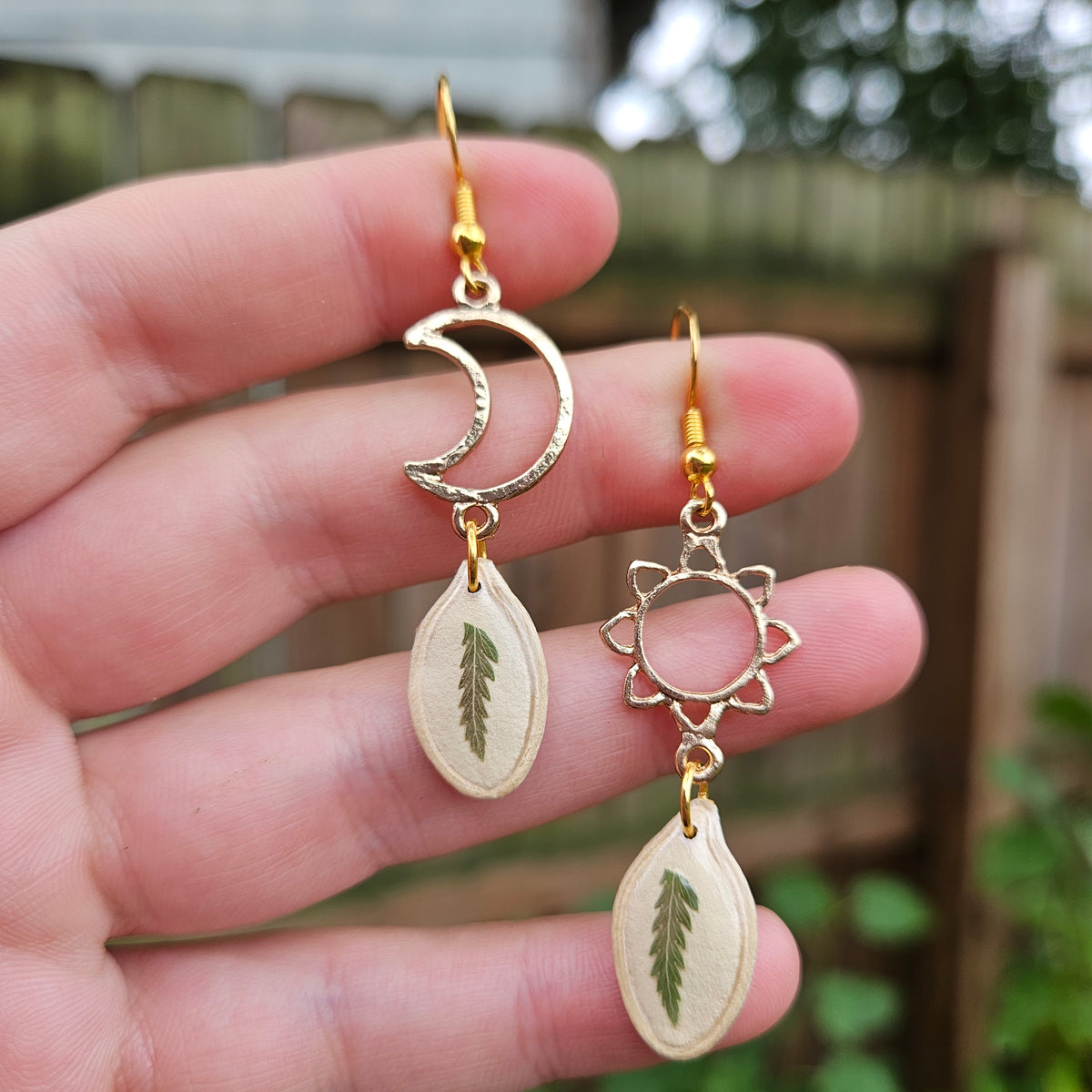 Pumpkin Seeds