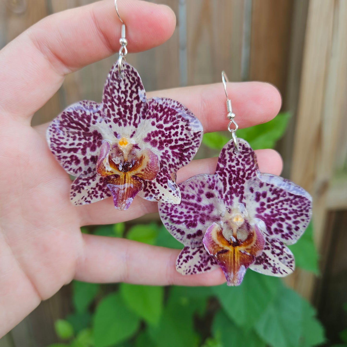 Orchids
