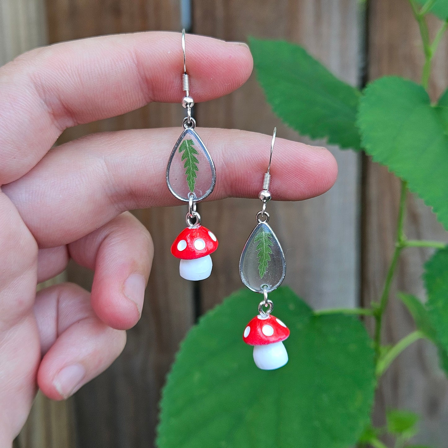 Mushroom Drops