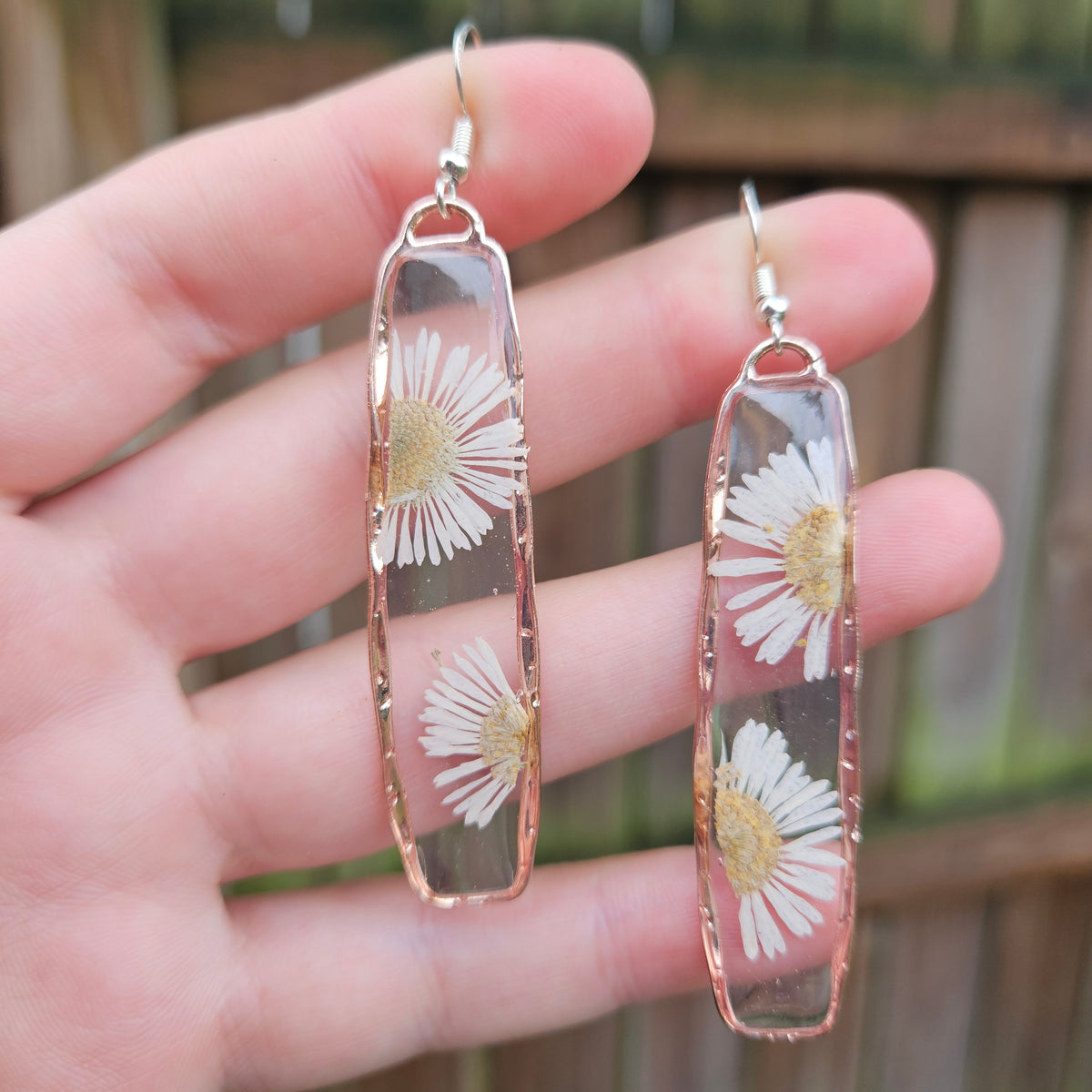 Fleabane Dangles