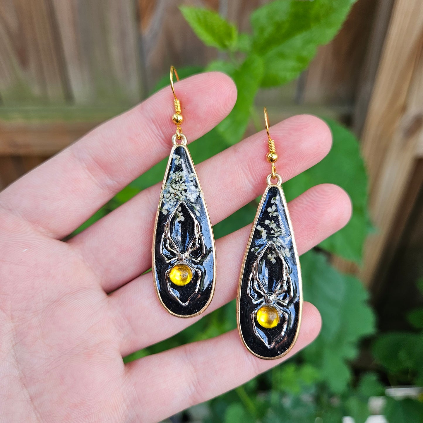 Garden Spiders