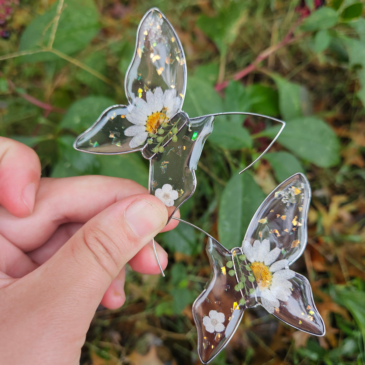 Butterfly Hoops