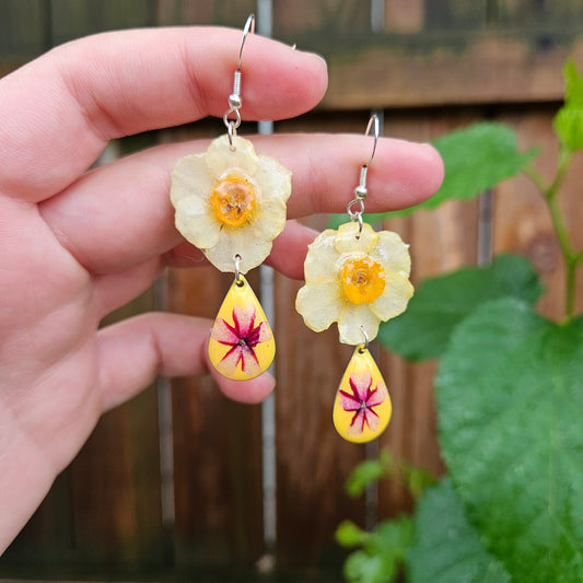 Mini Daffodils