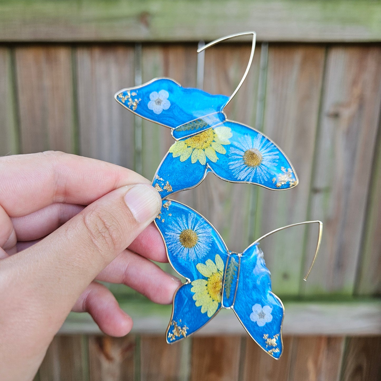 Butterfly Hoops