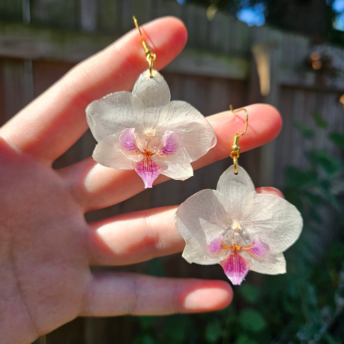 White and Purple Orchids