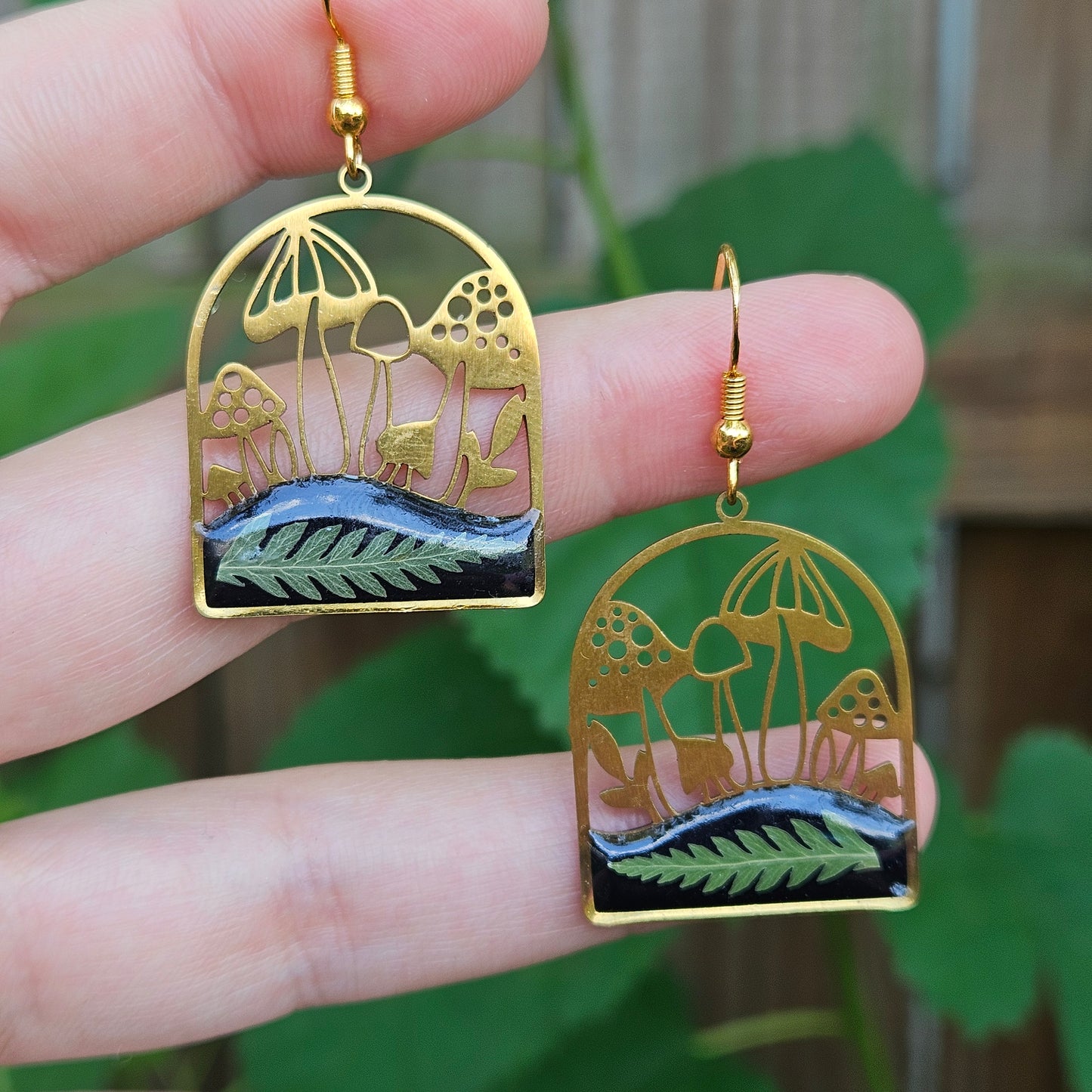 Fern Mushrooms