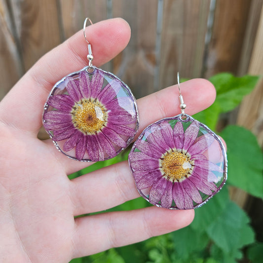 Purple Daisies