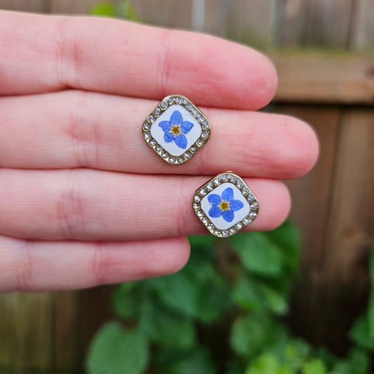 Forget-me-nots