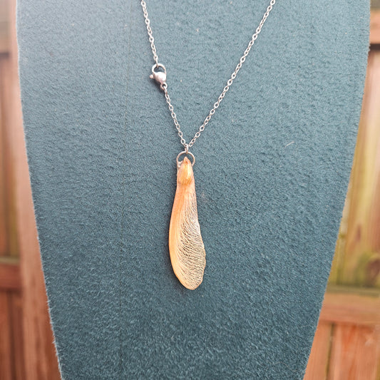 Maple Seed