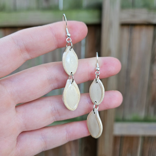 Pumpkin Seeds