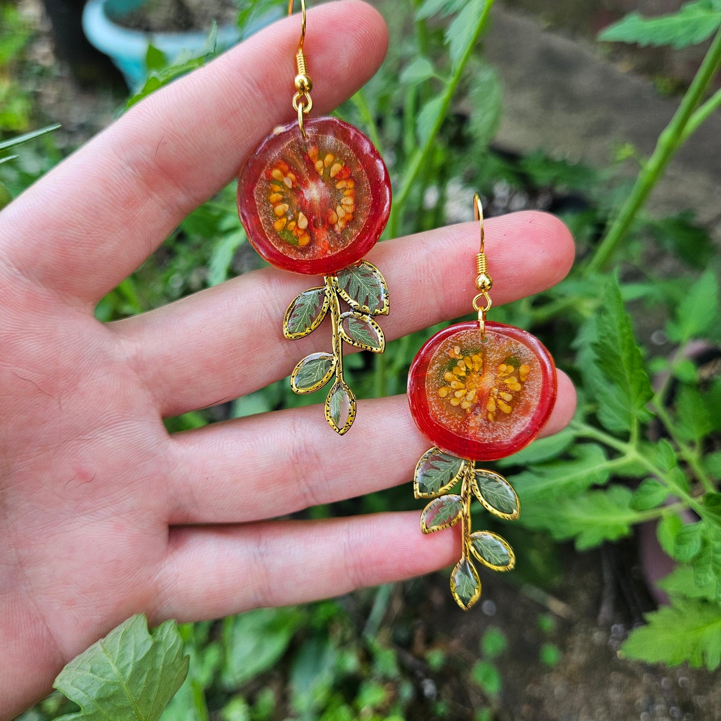 Tomato and Ferns