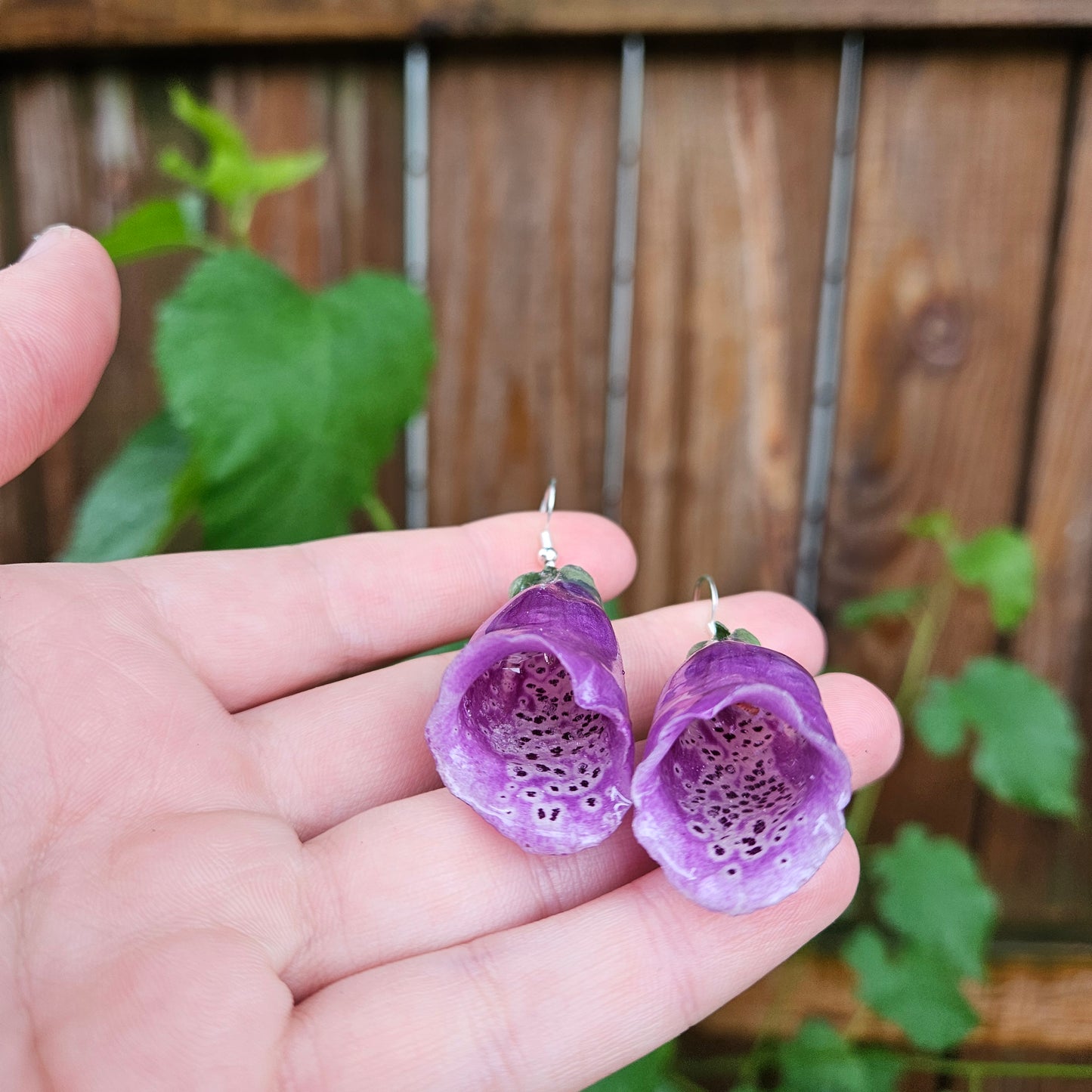Foxgloves